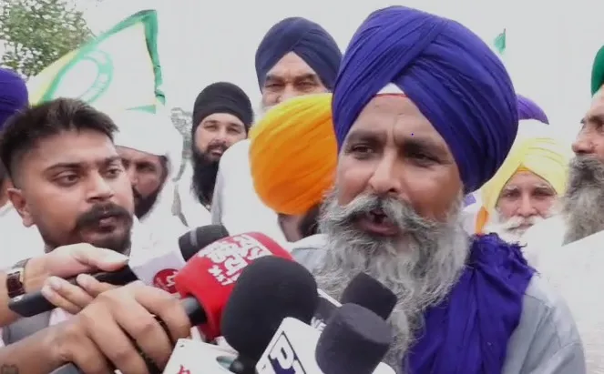 image (55)