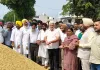 ਪੰਜਾਬ ਦੀਆਂ ਅਨਾਜ ਮੰਡੀਆਂ ਵਿੱਚ ਹੁਣ ਤੱਕ 8.50 ਲੱਖ ਮੀਟਰਕ ਟਨ ਝੋਨੇ ਦੀ ਹੋਈ ਆਮਦ : ਕੈਬਨਿਟ ਮੰਤਰੀ ਲਾਲ ਚੰਦ ਕਟਾਰੂਚੱਕ