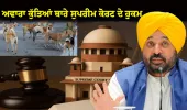 ਅਵਾਰਾ ਕੁੱਤਿਆਂ ਬਾਰੇ ਸੁਪਰੀਮ ਕੋਰਟ ਦੇ ਹੁਕਮਾਂ ਨੂੰ ਪੰਜਾਬ ਸਰਕਾਰ ਪੂਰੇ ਸੂਬੇ ਵਿੱਚ ਇੰਨ-ਬਿੰਨ ਲਾਗੂ ਕਰੇਗੀ: ਮੁੱਖ ਮੰਤਰੀ ਭਗਵੰਤ ਸਿੰਘ ਮਾਨ