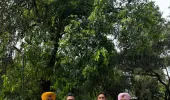 ਵਿਜੀਲੈਂਸ ਬਿਊਰੋ ਨੇ ਕਲਰਕ ਨੂੰ 10,000 ਰੁਪਏ ਰਿਸ਼ਵਤ ਲੈਂਦਿਆਂ ਰੰਗੇ ਹੱਥੀਂ ਕੀਤਾ ਕਾਬੂ