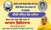 ਬੱਸੀ ਪਠਾਣਾ 'ਚ ਭੈਣ-ਭਰਾ ਆਹਮੋ-ਪਾਹਮਣੇ: ਸਰਬਜੀਤ ਖਾਲਸਾ ਦੀ ਪਾਰਟੀ ਖ਼ਿਲਾਫ਼ ਭੈਣ ਅੰਮ੍ਰਿਤ ਕੌਰ ਮਲੋਆ ਨੇ ਠੋਕੀ ਤਾਲ, ਜਾਣੋ ਪੂਰਾ ਮਾਮਲਾ