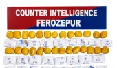 ਫਿਰੋਜ਼ਪੁਰ 'ਚ 30 ਕਿੱਲੋ ਹੈਰੋਇਨ ਸਮੇਤ  ਦੋ ਗ੍ਰਿਫ਼ਤਾਰ