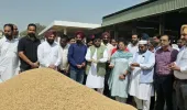 ਵਿਧਾਇਕ ਡਾ. ਜਮੀਲ ਉਰ ਰਹਿਮਾਨ ਨੇ ਅਨਾਜ ਮੰਡੀ ਮਾਲੇਰਕੋਟਲਾ ਵਿਖੇ ਝੋਨੇ ਦੀ ਸਰਕਾਰੀ ਖਰੀਦ ਕਰਵਾਈ ਸ਼ੁਰੂ 