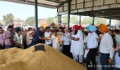 ਖੁਰਾਕ, ਸਿਵਲ ਸਪਲਾਈ ਤੇ ਖਪਤਕਾਰ ਮਾਮਲੇ ਮੰਤਰੀ ਲਾਲ ਚੰਦ ਕਟਾਰੂਚੱਕ ਨੇ ਬਟਾਲਾ ਦਾਣਾ ਮੰਡੀ ਤੋਂ ਝੋਨੇ ਦੀ ਸਰਕਾਰੀ ਖਰੀਦ ਸ਼ੁਰੂ ਕਰਵਾਈ