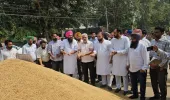 ਮੁੱਖ ਮੰਤਰੀ ਭਗਵੰਤ ਸਿੰਘ ਮਾਨ ਦੀ ਅਗਵਾਈ ਵਾਲੀ ਸੂਬਾ ਸਰਕਾਰ ਵੱਲੋਂ ਸੂਬੇ ਭਰ ਵਿੱਚ ਝੋਨੇ ਦੀ ਨਿਰਵਿਘਨ ਖਰੀਦ ਲਈ ਪੁਖ਼ਤਾ ਪ੍ਰਬੰਧ: ਲਾਲ ਚੰਦ ਕਟਾਰੂਚੱਕ