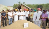 ਕਿਸਾਨਾਂ ਦੀ ਫ਼ਸਲ ਦਾ ਇੱਕ-ਇੱਕ ਦਾਣਾ ਖਰੀਦਣ ਲਈ ਮਾਨ ਸਰਕਾਰ ਵਚਨਬੱਧ: ਡਿਪਟੀ ਸਪੀਕਰ ਰੌੜੀ