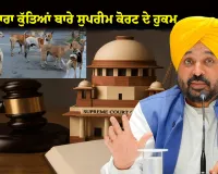 ਅਵਾਰਾ ਕੁੱਤਿਆਂ ਬਾਰੇ ਸੁਪਰੀਮ ਕੋਰਟ ਦੇ ਹੁਕਮਾਂ ਨੂੰ ਪੰਜਾਬ ਸਰਕਾਰ ਪੂਰੇ ਸੂਬੇ ਵਿੱਚ ਇੰਨ-ਬਿੰਨ ਲਾਗੂ ਕਰੇਗੀ: ਮੁੱਖ ਮੰਤਰੀ ਭਗਵੰਤ ਸਿੰਘ ਮਾਨ