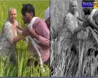 ਬਜ਼ੁਰਗ ਜੋੜੇ ਦੀ ਦਲੇਰੀ ਤੇ ਬਹਾਦਰੀ ਨੂੰ ਇੱਕ ਸਲੂਟ ਤਾਂ ਬਣਦਾ