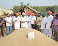 ਕਿਸਾਨਾਂ ਦੀ ਫ਼ਸਲ ਦਾ ਇੱਕ-ਇੱਕ ਦਾਣਾ ਖਰੀਦਣ ਲਈ ਮਾਨ ਸਰਕਾਰ ਵਚਨਬੱਧ: ਡਿਪਟੀ ਸਪੀਕਰ ਰੌੜੀ