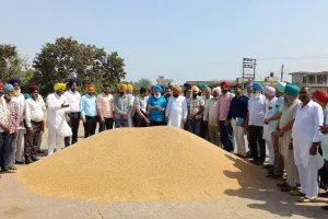 ਖਾਨਪੁਰ ਦਾਣਾ ਮੰਡੀ ਚ ਵਿਧਾਇਕ ਸੰਗੋਵਾਲ ਨੇ ਕਣਕ ਦੀ ਖਰੀਦ ਕਰਵਾਈ ਸ਼ੁਰੂ