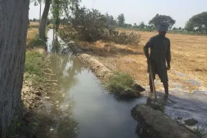 ਨਹਿਰਾਂ ਦੀਆਂ ਟੇਲਾਂ ਤੱਕ ਪੂਰਾ ਪਾਣੀ ਬਦਲ ਰਿਹਾ ਹੈ ਨਰਮਾ ਉਤਪਾਦਕ ਕਿਸਾਨਾਂ ਦੀ ਕਿਸਮਤ