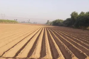 ਪਦਮ ਸਨਮਾਨ ਨਾਲ ਨਿਵਾਜ਼ੇ 12 ਪੰਜਾਬੀ ਖੇਤੀ ਵਿਗਿਆਨੀ