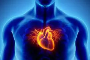 Heart Disease ਦੀ ਸ਼ੁਰੂਆਤ ’ਚ ਨਜ਼ਰ ਆਉਂਦੇ ਹਨ ਇਹ ਲੱਛਣ, ਇਨ੍ਹਾਂ ਨੂੰ ਨਜ਼ਰਅੰਦਾਜ਼ ਕਰਨਾ ਹੋ ਸਕਦੈ ਸਿਹਤ ਲਈ ਹਾਨੀਕਾਰਕ