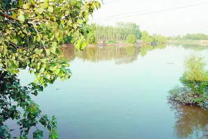 ਘੱਗਰ ਬ੍ਰਾਂਚ ਨਹਿਰ ਵਿਚ ਪਿਆ 15 ਫੁੱਟ ਚੌੜਾ ਪਾੜ, ਨੇੜਲੇ ਪਿੰਡਾਂ ਵਿਚ ਸਹਿਮ…