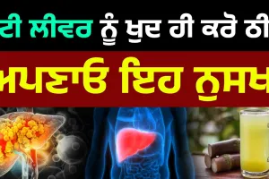 ਫੈਟੀ ਲੀਵਰ ਨੂੰ ਕਰੋ ਚੁਟਕੀ ਚ ਠੀਕ , ਅਪਣਾਓ ਇਹ ਦੇਸੀ ਨੁਸਖਾ  
