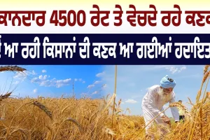 ਕਿਸਾਨ ਨਹੀਂ ਨਹੀਂ ਵੇਚ ਸਕਣਗੇ ਮਹਿੰਗੀ ਕਣਕ ! ਕੇਂਦਰ ਨੇ ਜਾਰੀ ਕੀਤੇ ਹੁਕਮ 