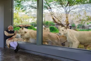 PM ਮੋਦੀ ਨੇ Vantara Wildlife ਦਾ ਕੀਤਾ ਉਦਘਾਟਨ, ਵਿਸ਼ਵ ਪੱਧਰੀ ਸਹੂਲਤਾਂ ਦਾ ਲਿਆ ਜਾਇਜ਼ਾ