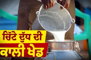 ਕੈਂਸਰ ਵਰਗੀਆਂ ਕਈ ਭਿਆਨਕ ਬਿਮਾਰੀਆਂ ਨੂੰ ਸੱਦਾ ਦੇ ਰਿਹਾ ਮਿਲਾਵਟੀ ਦੁੱਧ !