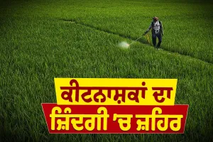 ਕੀਟਨਾਸ਼ਕਾਂ ਦੀ ਵਧ ਰਹੀ ਵਰਤੋਂ ਗਰਭ ’ਚ ਪਲ ਰਹੇ ਬੱਚੇ ਲਈ ਵੀ ਖਤਰਾ