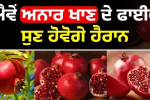 ਅਨਾਰ ਨੂੰ ਇਸ ਤਰ੍ਹਾਂ ਖਾਓਗੇ ਤਾਂ ਮਿਲਣਗੇ ਕਮਾਲ ਦੇ ਫ਼ਾਇਦੇ 