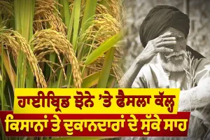 ਹਾਈਬ੍ਰਿਡ ਝੋਨੇ ’ਤੇ ਫੈਸਲਾ ਕੱਲ੍ਹ, ਕਿਸਾਨਾਂ ਤੇ ਦੁਕਾਨਦਾਰਾਂ ਦੇ ਸੁੱਕੇ ਸਾਹ