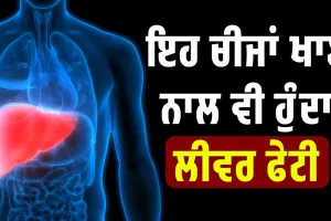 ਇੱਕਲੀ ਸ਼ਰਾਬ ਨਹੀਂ ਇਹ ਚੀਜਾਂ ਖਾਣ ਨਾਲ ਵੀ ਹੁੰਦਾ ਲੀਵਰ ਫੇਟੀ