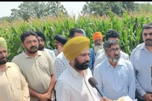 ਮੱਕੀ ਹੇਠ ਰਕਬਾ ਵਧਾਉਣ ਲਈ ਉਪਰਾਲਾ; ਕਿਸਾਨਾਂ ਨੂੰ 10 ਹਜ਼ਾਰ ਪ੍ਰਤੀ ਹੈਕਟੇਅਰ ਦੀ ਦਿੱਤੀ ਜਾਵੇਗੀ ਵਿੱਤੀ ਸਹਾਇਤਾ : ਮੁੱਖ ਖੇਤੀਬਾੜੀ ਅਫ਼ਸਰ