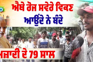 ਐਥੇ ਰੋਜ ਸਵੇਰੇ ਵਿਕਣ ਆਉਂਦੇ ਨੇ ਬੰਦੇ ,ਅਜ਼ਾਦੀ ਦੇ 79 ਸਾਲ ਬਾਅਦ ਵੀ ਨਹੀਂ ਸੁਧਰੇ ਹਾਲਾਤ