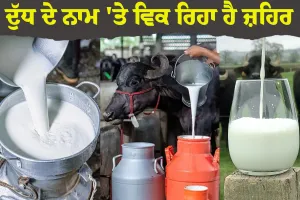 ਦੁੱਧ ਦੇ ਨਾਮ 'ਤੇ ਵਿਕ ਰਿਹਾ ਹੈ ਜ਼ਹਿਰ
