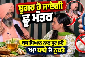 Diabetes Control: ਸ਼ੂਗਰ ਹੋ ਜਾਏਗੀ ਛੂ ਮੰਤਰ? ਬਾਬੇ ਦੇ ਇਹ ਨੁਕਤੇ ਧਿਆਨ ਨਾਲ ਸੁਣ ਲਓ | Sugar Control Tips
