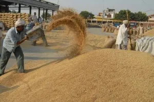 ਹਰਿਆਣਾ ਤੇ ਪੰਜਾਬ 'ਚ ਝੋਨੇ ਦਾ ਨਵਾਂ MSP ਰੇਟ ਕੀ ਹੈ?: ਕਿਸਾਨ ਪ੍ਰਦਰਸ਼ਨ ਦੀ ਅਸਲ ਵਜ੍ਹਾ