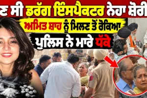 ਕੌਣ ਸੀ ਡਰੱਗ ਇੰਸਪੈਕਟਰ ਨੇਹਾ? ਚੋਣ ਜ਼ਾਬਤੇ ਦੌਰਾਨ ਹਥਿਆਰ ਲਾਇਸੈਂਸ ਬਣਨ ਪਿੱਛੇ ਕਿਸ ਦਾ ਹੱਥ ਸੀ?