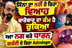 ਵਿਆਹ ਵਿੱਚ ਦੇਰੀ ਜਾਂ ਕਾਰੋਬਾਰ 'ਚ ਮੰਦੀ? ਜਾਣੋ ਸਹੀ ਰਤਨ (Gemstone) ਕਿਵੇਂ ਬਦਲ ਸਕਦਾ ਹੈ ਤੁਹਾਡੀ ਕਿਸਮਤ