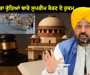 ਅਵਾਰਾ ਕੁੱਤਿਆਂ ਬਾਰੇ ਸੁਪਰੀਮ ਕੋਰਟ ਦੇ ਹੁਕਮਾਂ ਨੂੰ ਪੰਜਾਬ ਸਰਕਾਰ ਪੂਰੇ ਸੂਬੇ ਵਿੱਚ ਇੰਨ-ਬਿੰਨ ਲਾਗੂ ਕਰੇਗੀ: ਮੁੱਖ ਮੰਤਰੀ ਭਗਵੰਤ ਸਿੰਘ ਮਾਨ
