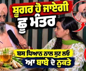 Diabetes Control: ਸ਼ੂਗਰ ਹੋ ਜਾਏਗੀ ਛੂ ਮੰਤਰ? ਬਾਬੇ ਦੇ ਇਹ ਨੁਕਤੇ ਧਿਆਨ ਨਾਲ ਸੁਣ ਲਓ | Sugar Control Tips