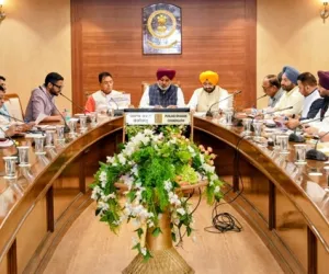 ਜ਼ਿਲ੍ਹਾ ਪੱਧਰੀ ਵਪਾਰੀ ਕਮਿਸ਼ਨ ਦੀਆਂ ਮੀਟਿੰਗਾਂ ਵਿੱਚ ਗਜ਼ਟਿਡ ਅਧਿਕਾਰੀਆਂ ਦੀ ਸ਼ਮੂਲੀਅਤ ਯਕੀਨੀ ਬਣਾਉਣ:ਹਰਪਾਲ ਸਿੰਘ ਚੀਮਾ