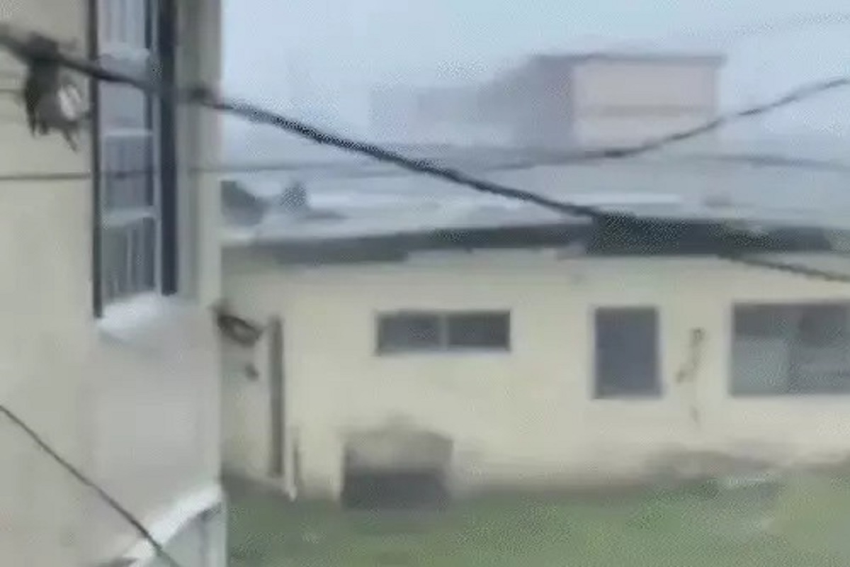 WhatsApp Image 2025-10-31 at 5.22.19 PM