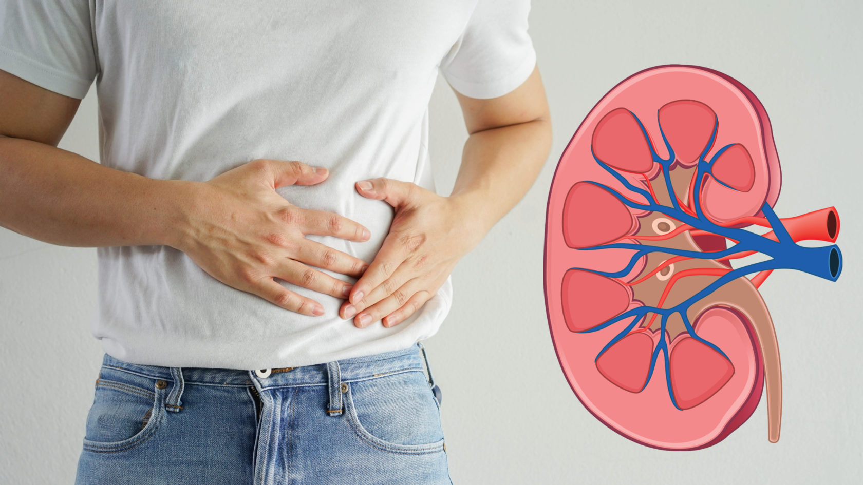 ক্রিয়েটিনিন-ক্লিয়ারেন্স-টেস্ট-Creatinine-Clearance-Test