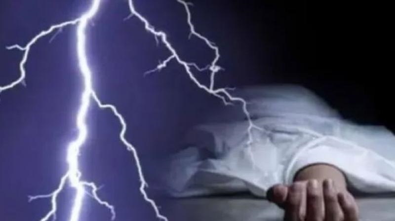 5jclbvm7842j0a7cjmp847b0pn-20240512142519.Medi