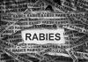 ਗੰਭੀਰ ਸੰਕਟ ਤੋਂ ਮੁਕੰਮਲ ਇਲਾਜ ਵੱਲ ਕਦਮ: ਭਗਵੰਤ ਮਾਨ ਸਰਕਾਰ ਨੇ ਪੰਜਾਬ ਵਿੱਚ ਰੇਬੀਜ਼ ਦੇ ਖ਼ਤਰੇ ਨਾਲ ਨਜਿੱਠਣ ਲਈ ਕੀਤੇ ਵਿਆਪਕ ਸੁਧਾਰ