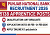 PNB ਭਰਤੀ 2026: ਪੰਜਾਬ ਨੈਸ਼ਨਲ ਬੈਂਕ 'ਚ 5138 ਅਸਾਮੀਆਂ ਲਈ ਬੰਪਰ ਭਰਤੀ; ਗ੍ਰੈਜੂਏਟ ਪਾਸ ਤੁਰੰਤ ਕਰਨ ਅਪਲਾਈ