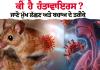 "ਹੰਤਾਵਾਇਰਸ ਦਾ ਕਹਿਰ: ਕਰੂਜ਼ ਜਹਾਜ਼ 'ਤੇ 3 ਯਾਤਰੀਆਂ ਦੀ ਮੌਤ, ਜਾਣੋ ਕੀ ਇਹ ਕੋਰੋਨਾ ਵਾਂਗ ਖ਼ਤਰਨਾਕ ਹੈ?"