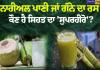 "ਨਾਰੀਅਲ ਪਾਣੀ ਜਾਂ ਗੰਨੇ ਦਾ ਰਸ: ਗਰਮੀਆਂ ਵਿੱਚ ਕੌਣ ਹੈ ਸਿਹਤ ਦਾ ਅਸਲੀ 'ਸੁਪਰਹੀਰੋ'? ਜਾਣੋ ਹੈਰਾਨ ਕਰਨ ਵਾਲੇ ਤੱਥ!"
