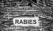 ਗੰਭੀਰ ਸੰਕਟ ਤੋਂ ਮੁਕੰਮਲ ਇਲਾਜ ਵੱਲ ਕਦਮ: ਭਗਵੰਤ ਮਾਨ ਸਰਕਾਰ ਨੇ ਪੰਜਾਬ ਵਿੱਚ ਰੇਬੀਜ਼ ਦੇ ਖ਼ਤਰੇ ਨਾਲ ਨਜਿੱਠਣ ਲਈ ਕੀਤੇ ਵਿਆਪਕ ਸੁਧਾਰ