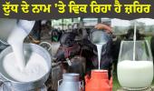 ਦੁੱਧ ਦੇ ਨਾਮ 'ਤੇ ਵਿਕ ਰਿਹਾ ਹੈ ਜ਼ਹਿਰ