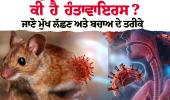 "ਹੰਤਾਵਾਇਰਸ ਦਾ ਕਹਿਰ: ਕਰੂਜ਼ ਜਹਾਜ਼ 'ਤੇ 3 ਯਾਤਰੀਆਂ ਦੀ ਮੌਤ, ਜਾਣੋ ਕੀ ਇਹ ਕੋਰੋਨਾ ਵਾਂਗ ਖ਼ਤਰਨਾਕ ਹੈ?"