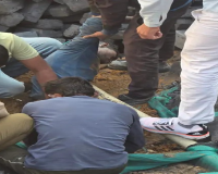 ਗੁਰੂਗ੍ਰਾਮ ਵਿੱਚ ਨਿਰਮਾਣ ਅਧੀਨ ਬੇਸਮੈਂਟ ਵਿੱਚ ਟਰੱਕ ਪਲਟਿਆ; ਮਲਬੇ ਹੇਠ ਦੱਬਣ ਕਾਰਨ ਨੌਜਵਾਨ ਦੀ ਮੌਤ