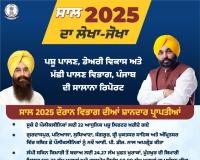 ਹੜ੍ਹਾਂ ਦੌਰਾਨ ਪਸ਼ੂਧਨ ਦੀ ਸਲਾਮਤੀ ਲਈ ਡਟਿਆ ਰਿਹੈ ਪਸ਼ੂ ਪਾਲਣ ਵਿਭਾਗ, 3.19 ਲੱਖ ਤੋਂ ਵੱਧ ਪਸ਼ੂਆਂ ਦਾ ਮੁਫ਼ਤ ਕੀਤਾ ਇਲਾਜ