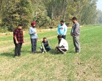 ਮੁੱਖ ਖੇਤੀਬਾੜੀ ਅਫ਼ਸਰ ਵੱਲੋਂ ਪਿੰਡ ਕੋਟੜਾ ਕਲਾਂ, ਭੀਖੀ, ਢੈਪਈ ਤੇ ਜੱਸੜਵਾਲ ਵਿਚ ਕਣਕ ਦੀ ਫ਼ਸਲ ਦਾ ਨਿਰੀਖਣ