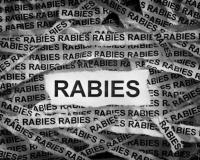 ਗੰਭੀਰ ਸੰਕਟ ਤੋਂ ਮੁਕੰਮਲ ਇਲਾਜ ਵੱਲ ਕਦਮ: ਭਗਵੰਤ ਮਾਨ ਸਰਕਾਰ ਨੇ ਪੰਜਾਬ ਵਿੱਚ ਰੇਬੀਜ਼ ਦੇ ਖ਼ਤਰੇ ਨਾਲ ਨਜਿੱਠਣ ਲਈ ਕੀਤੇ ਵਿਆਪਕ ਸੁਧਾਰ